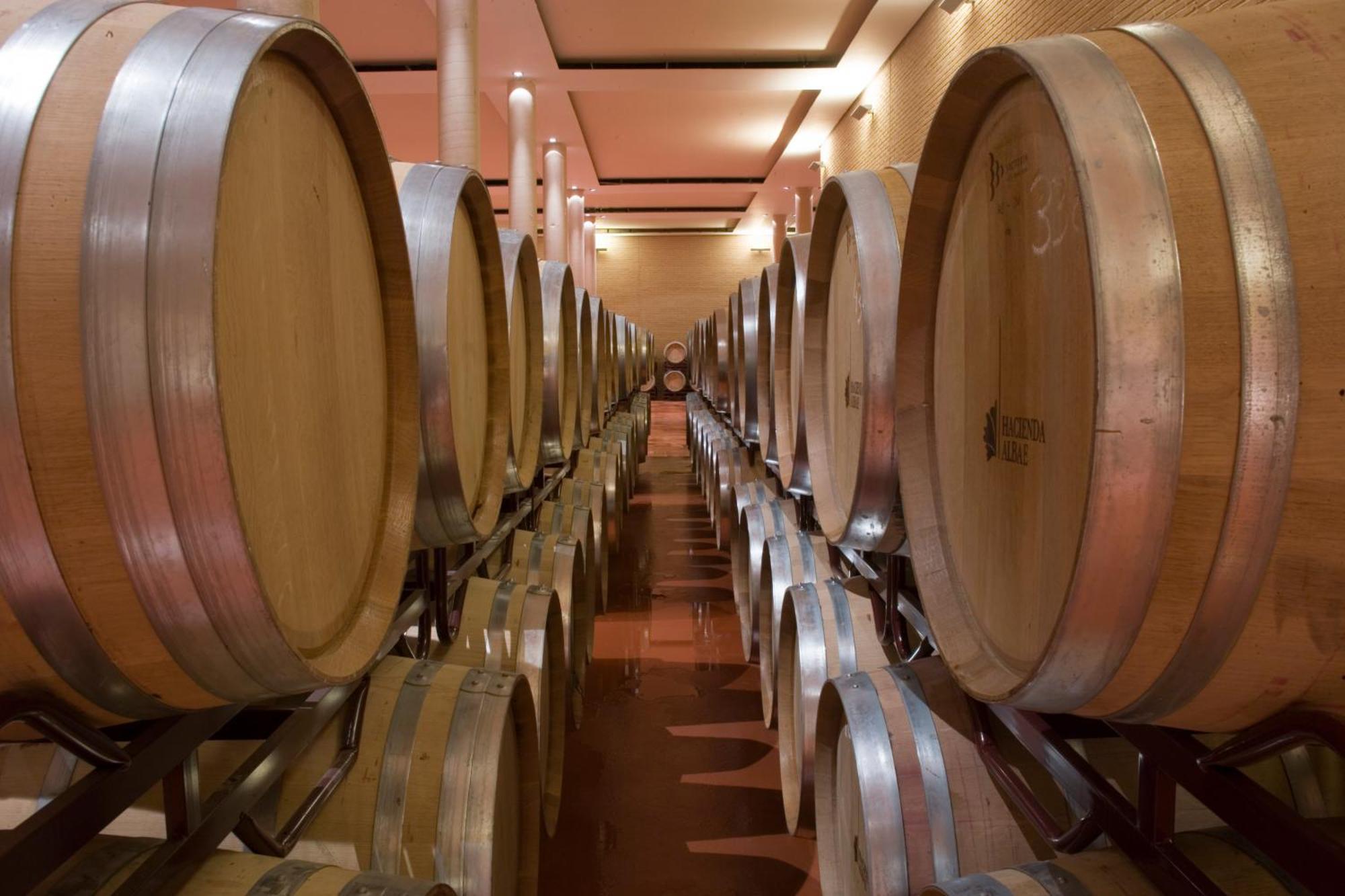Gasthaus Bodegas Hacienda Albae Argamasilla de Alba Exterior foto